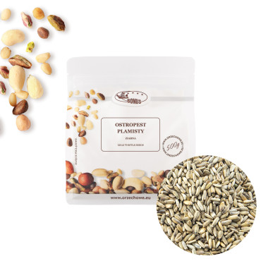 Ziarna ostropestu plamistego